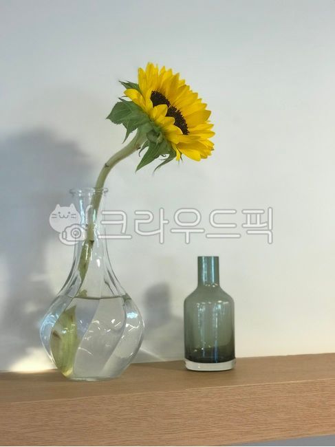 카페인테리어,카페,카페투어,꽃,플라워