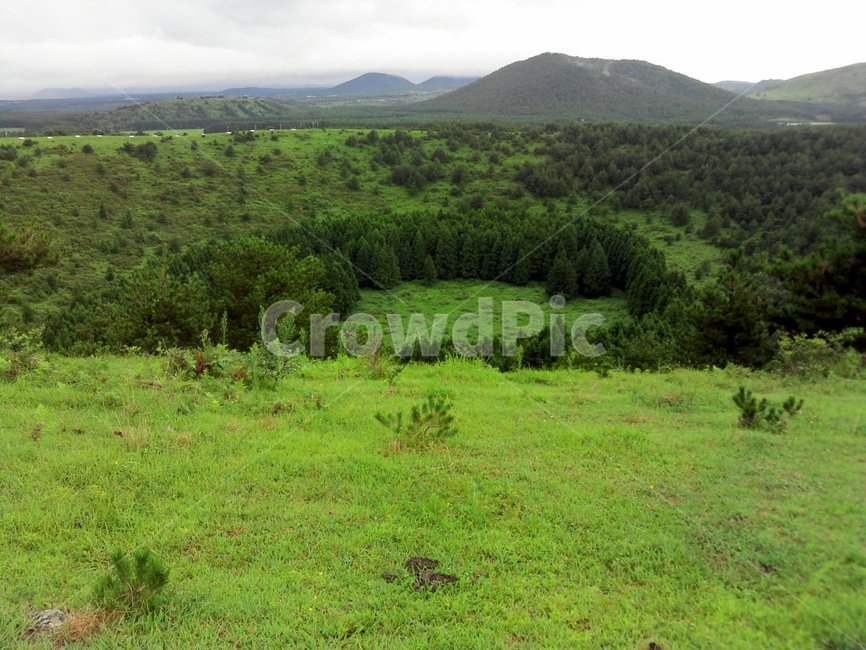 nature,자연,목초지,제주오름,grassland