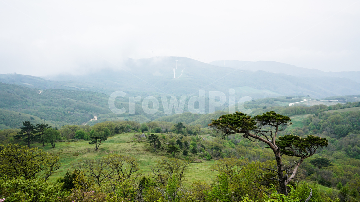 산,하늘,구름,흐린,깨끗한,풍경,자연,야외,mountain,sky,cloud,clean,landscape,nature,outdoor,tree,forest,자연,풍경,nature,landscape,outdoors,옥외,grassland,목초지,field,들