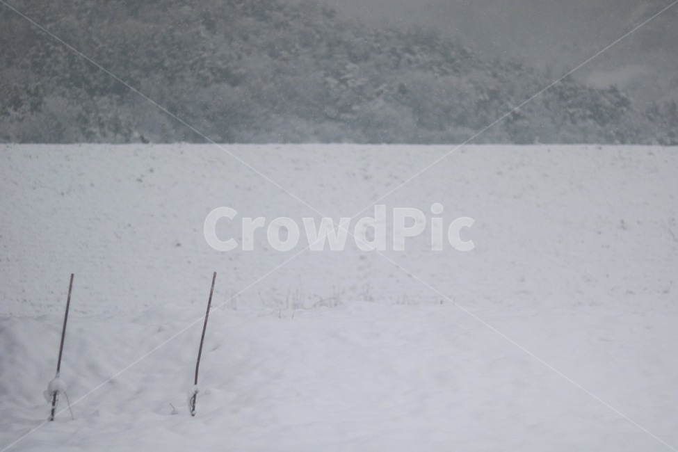 겨울,눈,설경,설산,winter,snow