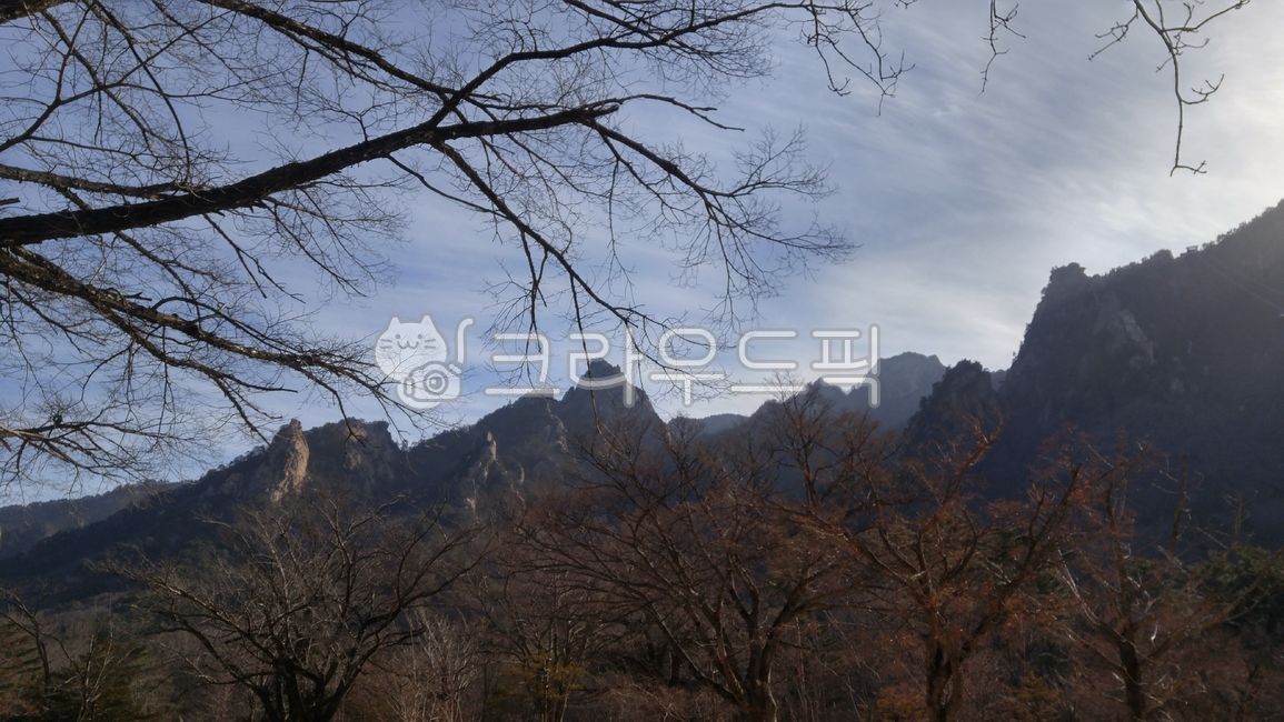 설악산,풍경,mountain,scenery,wilderness,구름,나무,바위,봉우리,산,설악동,속초시,옥외,자연,clouds,nature,outdoors,peak,rocks,seasons,seoraksan,tree