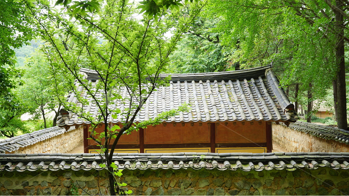 한국,민속촌,집,자연,풍경,한국전통,한국문화,korean traditional,korean culture,건축물,건물외관,exterior,building,structure,architecture,construction