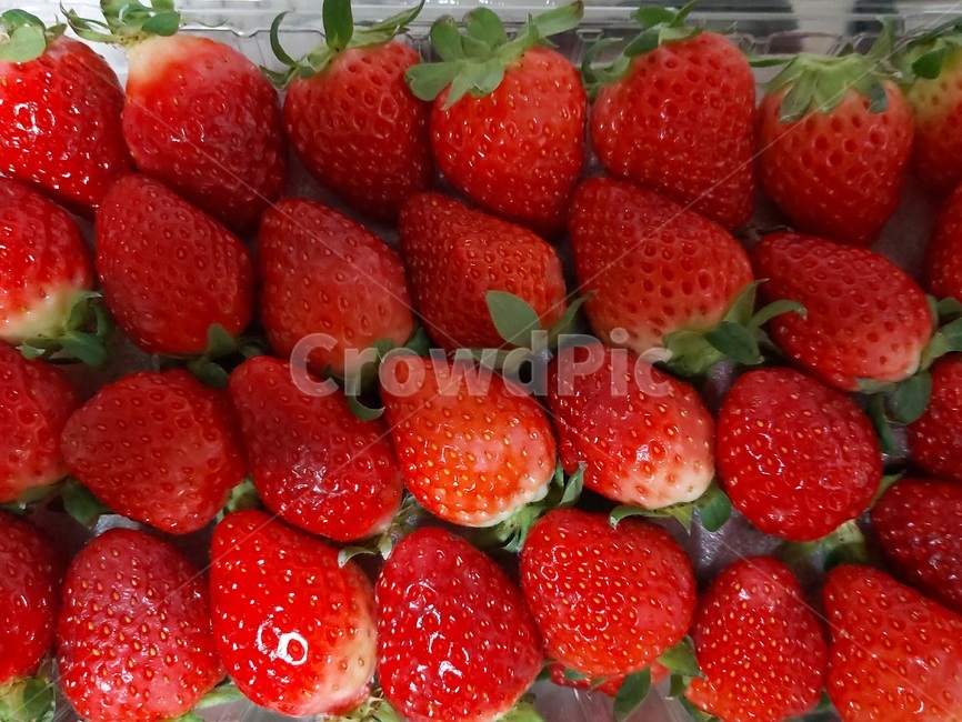 딸기,strawberry,음식,food,과일,fruit,음식,식재료,요리,food,cook,meal,dishes,food reserves,과일,열매,fruit