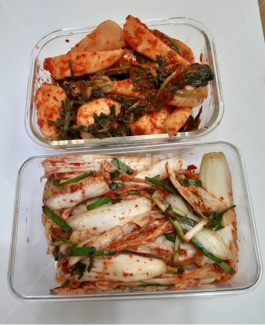 김치,음식,food,koreankimchi,달랑무김치,배추김치,음식,식재료,요리,food,cook,meal,dishes,food reserves