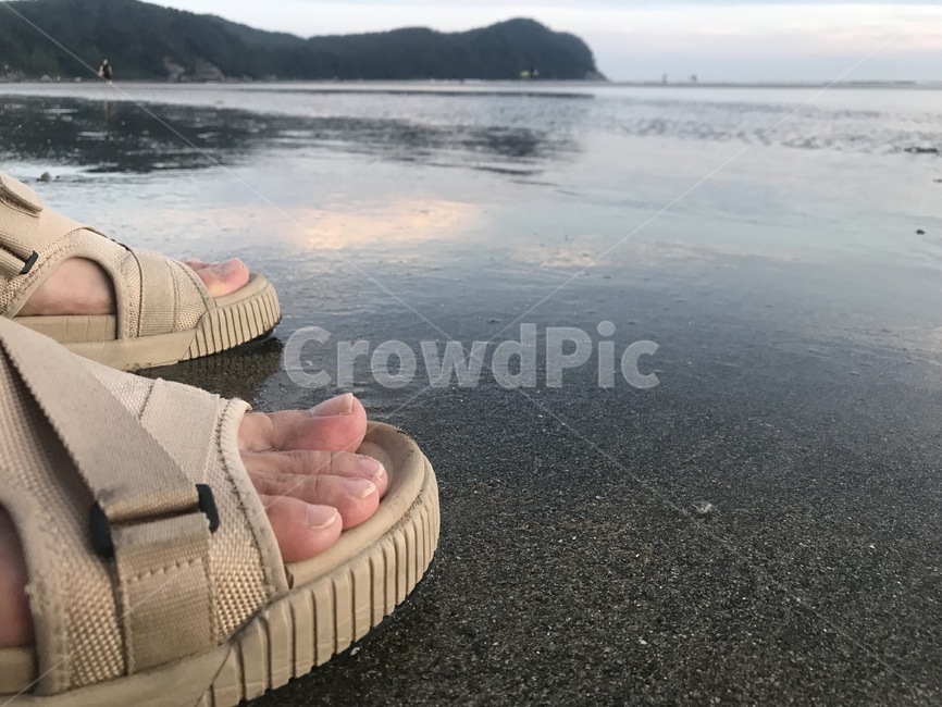 바다,발,신발,신발류,footwear