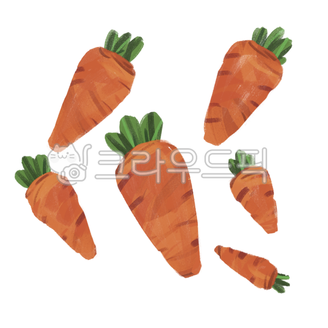당근,당근일러스트,당근그림,당근자료,당근손그림