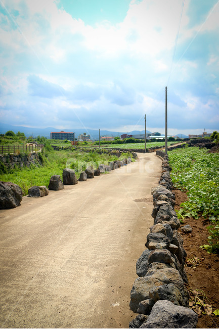 제주도,자연,풍경,길,돌담,하늘,맑음,여름,감성,자연,풍경,nature,landscape,제주도,jeju,jeju island