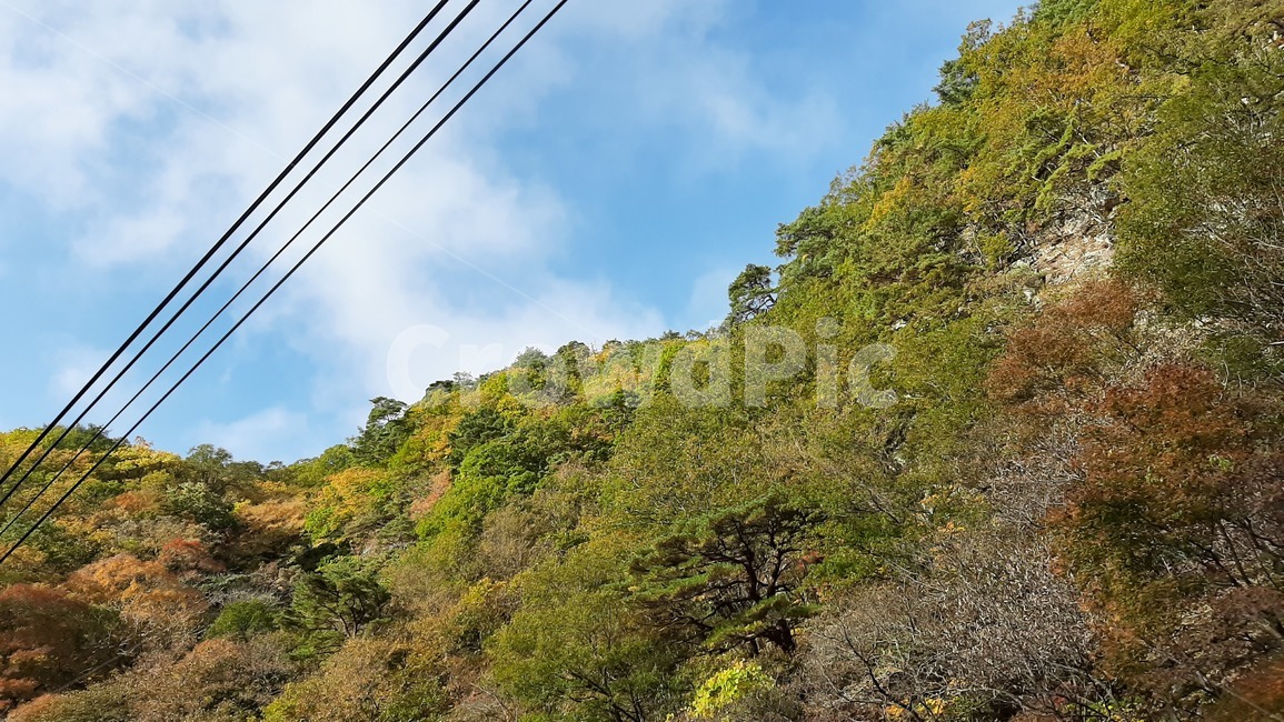 가을풍경,단풍,산행,나무,하늘,숲,풍경,자연,tree