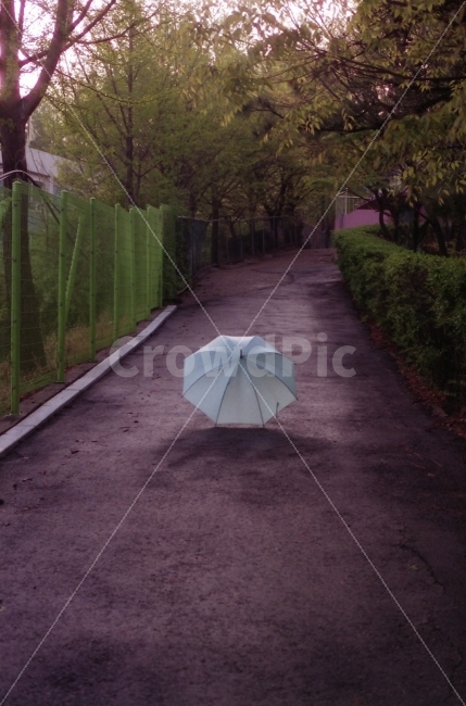 우산,비,감성,필름,필름카메라,자연,풍경,nature,landscape,사물,물건,오브젝트,thing,object,matter