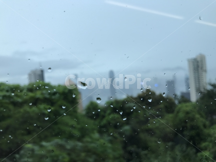 유리,빗방물,물방울,waterdrop,rain