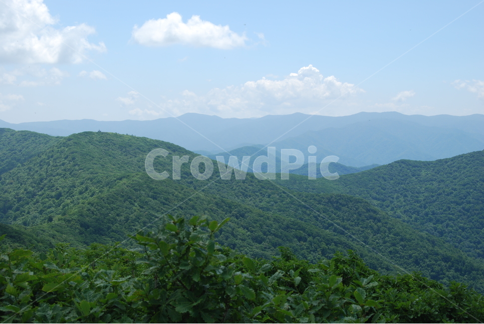 summer,hikingtrail,cloud,tree,하늘,자연,풍경,nature,landscape,한국자연풍경,한국자연경관,korea nature landscape,hill,언덕,outdoors,옥외