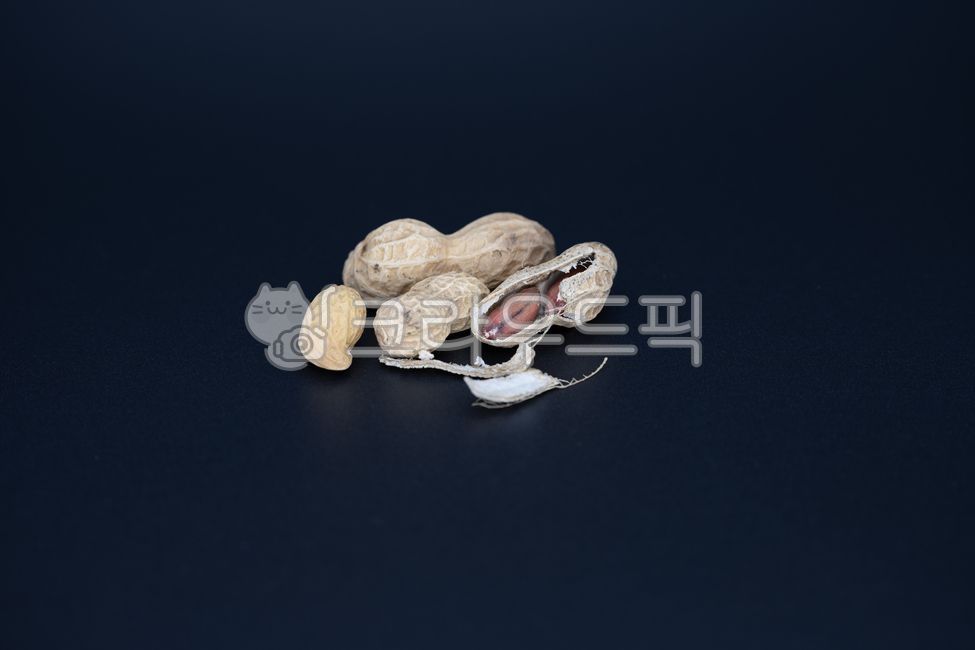 savory,snack,adarkcolor,Black color,plants,peanut,Korean customs,koreancustoms,husks,thefifteenthdayofthelunarnewyear,Sue,Full moon of the first lunar month,black background,nature,food,shell,background,plant,blackbackground,bum