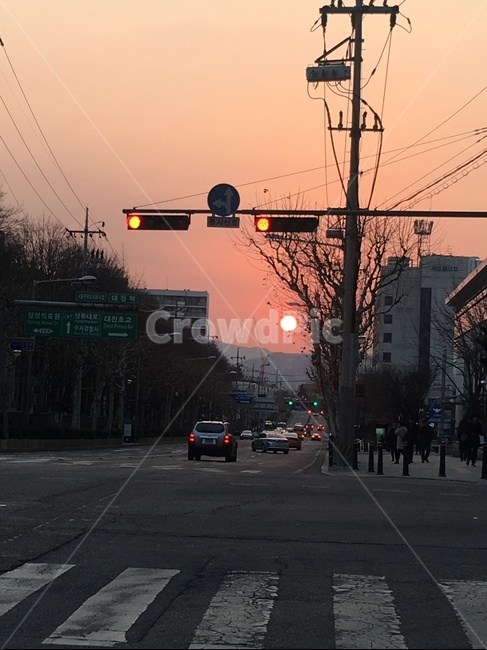 차량,교통,도로,light,빛,신호등,trafficlight,교통,교통수단,traffic,transportation