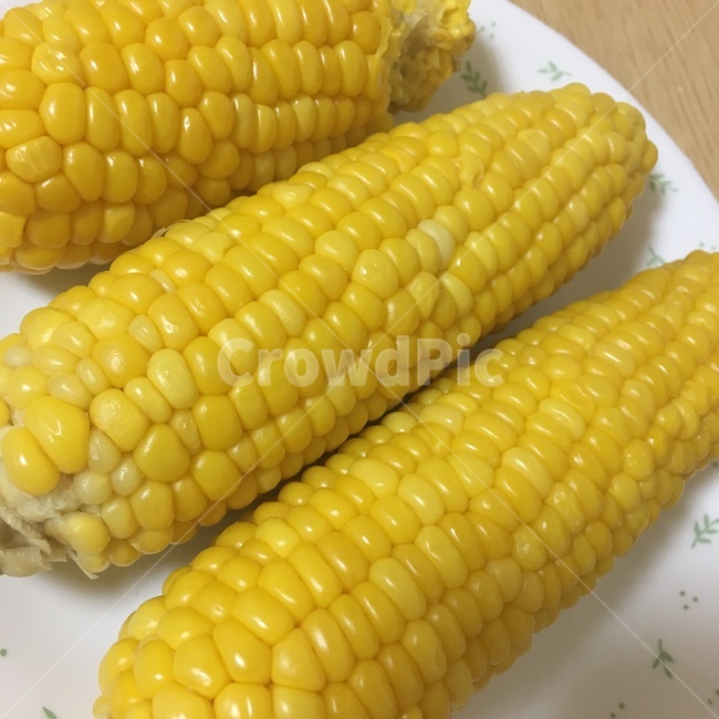 초당옥수수,옥수수,노란색,간식,접시