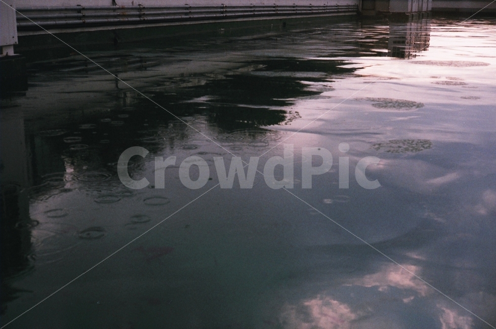 rain,film photography,rainwater,film,rooftop