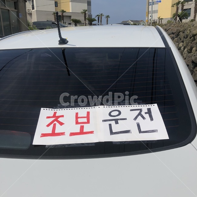 초보운전,차,자동차,초보,운전