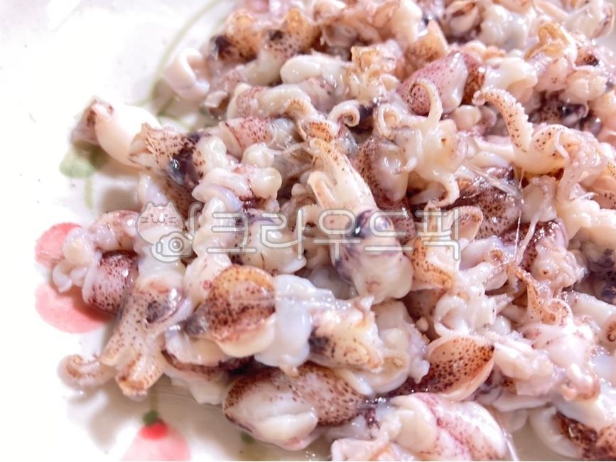 꼴뚜기,꼴뚜기회,쭈구미,쭈꾸미회,오징어,오징어회