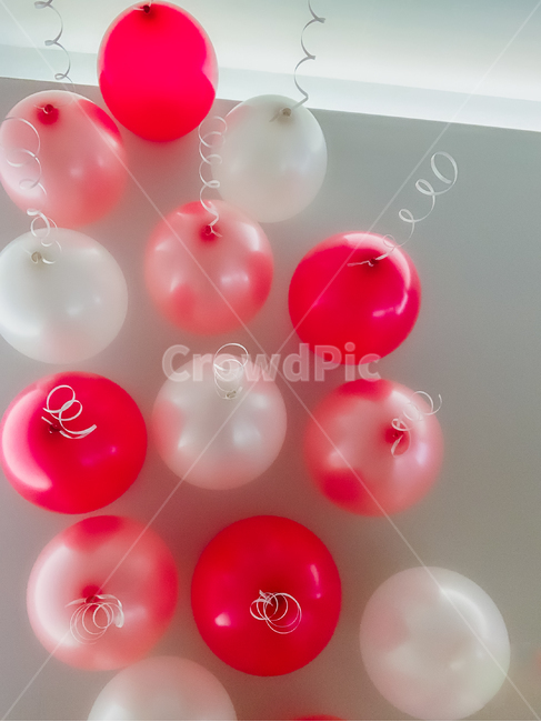 풍선,빨강,분홍,이벤트,천장,흰색,balloon,공,ball