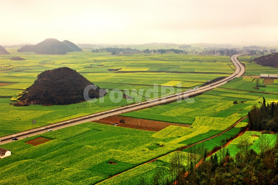 nature,자연,outdoors,옥외,field,들,grassland,목초지,중국,운남성,나평,나평유채꽃,중국비경,농경지,농업,농사,관광지,유채꽃,유채밭,자연,풍경,nature,landscape,해외,외국,세계,foreign,oversea,world,세계자연풍경,해외자연풍경,외국자연풍경,world nature landscape