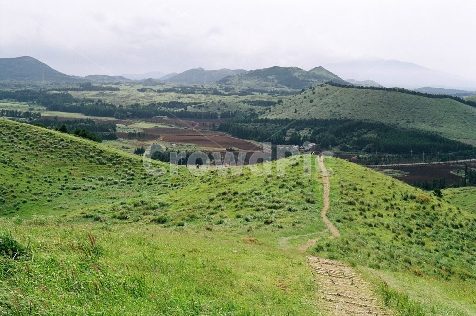 오름,산등성,산길,제주도,산,정상,필름,제주도의여름,자연,풍경,nature,landscape,한국자연풍경,한국자연경관,korea nature landscape,제주도,jeju,jeju island,outdoors,옥외,hill,언덕