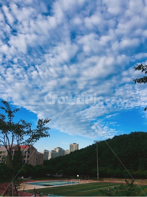 구름,하늘,cloud,자연풍경,풍경