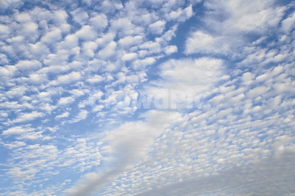 가을,구름,양떼구름,하늘,배경,자연,풍경,nature,landscape,outdoors,옥외,sky,azure sky,푸른 하늘,cloud