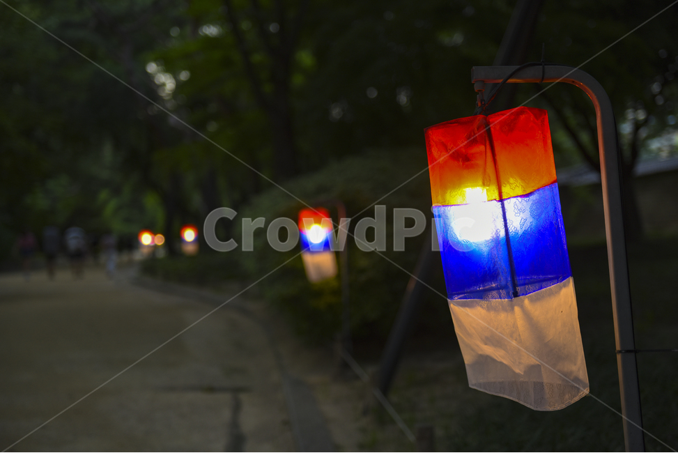 청사초롱,등,등불,청사,홍사,조명,야경,밤,풍경,nightscape,night,landscape,한국전통,한국문화,korean traditional,korean culture
