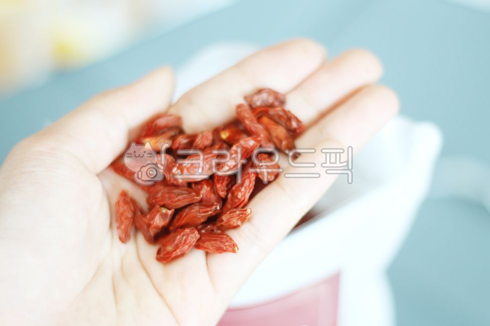 구기자,구기자열매,열매,차,말린차,말린구기자