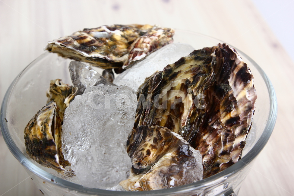 석화,굴,생굴,해산물,조개,신선,싱싱,음식,식품,dish,oysters,seafood,shellfish,fresh,crispy,food,음식,식재료,요리,food,cook,meal,dishes,food reserves,수산물,해산물,fishery products,seafood