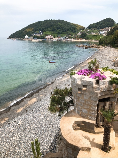 왜성,해안가,성,마을,꽃,풍경,배경