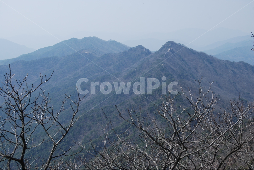 봄,spring,탐방로,trail,tree,나무,휴양지,자연,풍경,nature,landscape,outdoors,옥외,mountain range,산맥,mountain,산