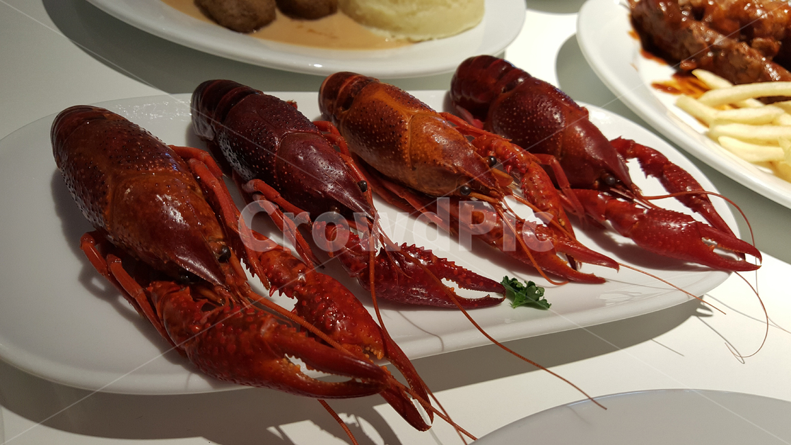 음식,food,랍스터,lobster,seafood