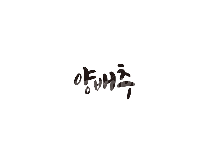 캘리,야채,채소,배추,양배추,캘리그라피,손글씨,그래픽,일러스트레이션,graphic,illustration,캘리그라피,손글씨,calligraphy