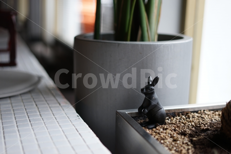 인테리어,토끼,장식,타일,화분,카페,감성,귀여움,인테리어,실내디자인,interior design,사물,물건,오브젝트,thing,object,matter