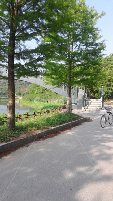담양,메타세콰이어길,다리,강,자전거,산책,힐링