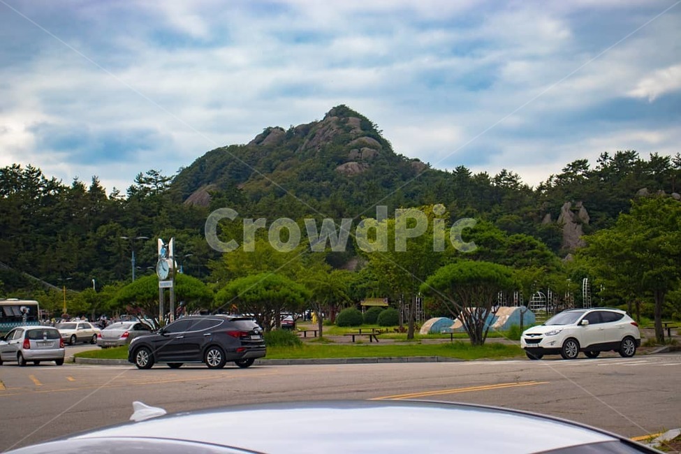 목포,산,하늘,나무,봄