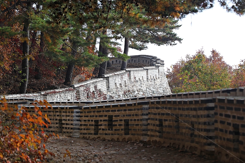남한산성,성곽,성,단풍,낙엽,길,둘레길,숲,숲길,담,돌담,가을,자연,풍경,벽,울긋불긋,산성,식물,가을,계절,fall,autumn,season,한국전통,한국문화,korean traditional,korean culture,tree,나무,plant