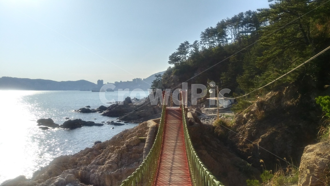 구름다리,해안가절벽,bridge,다리,출렁다리,해안가,바다
