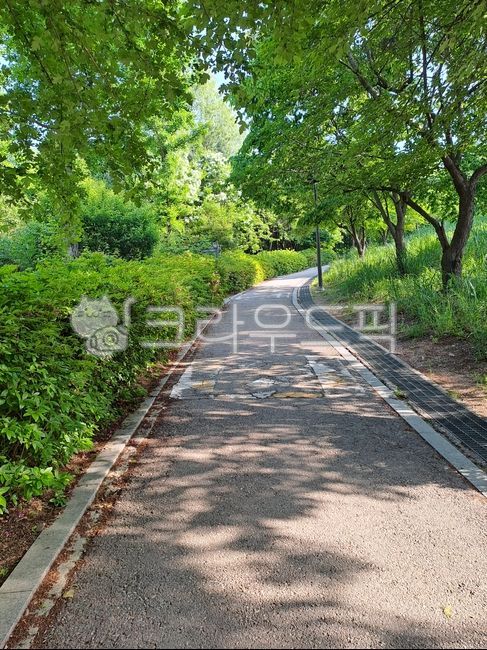 길, 거리, outdoors, path, road, 사진,이미지,일러스트,캘리그라피 - 리시안셔스91작가