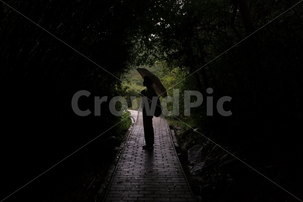 숲,산,나무,비,어둠,빛과어둠,연출사진,사람,인물,인간,human,person,인물실루엣,사람실루엣,character silhouette,human silhouette,비,비오는날,rain,rainy,연출,컨셉,콘셉,direction,concept,path,통로,walkway,보도