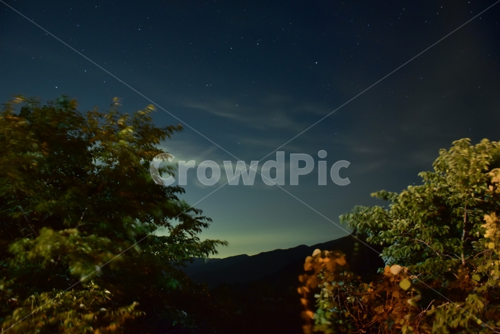 별사진,야경,밤하늘,하늘,오쿠타마,별,도쿄,도쿄야경,일본,배경,background,japan,tokyo,나무,자연,풍경,sky,nightview,star,새벽,새벽녘,감성,배경화면,바탕화면,백그라운드,자연,풍경,nature,landscape,야경,밤,nightscape,night,outdoors,옥외