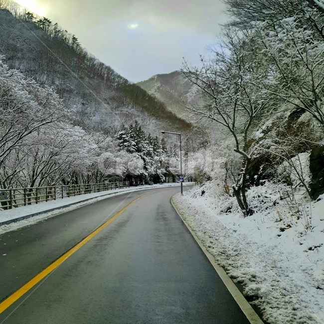 내장산,겨울,산,자연,풍경,겨울,계절,winter,season,교통,교통수단,traffic,transportation