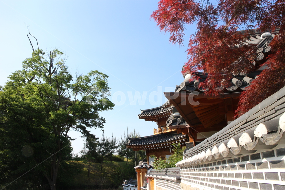 한옥,한국,전통,문화,역사,기와,돌담,나무,파란,깨끗한,하늘,기와집,전주,한옥마을,패턴