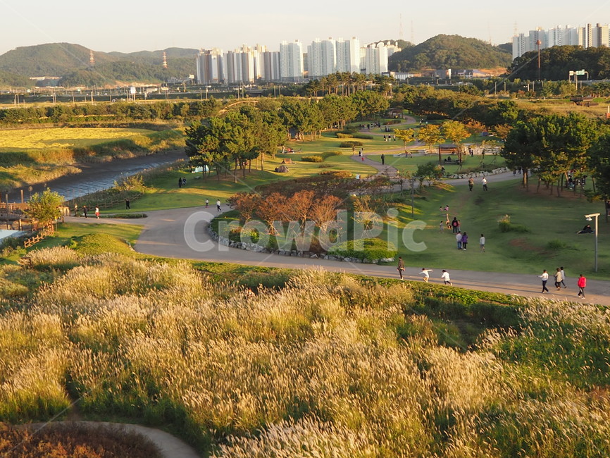 outdoors,옥외,person,사람,human,인간,가족,field,들판,가을,자연
