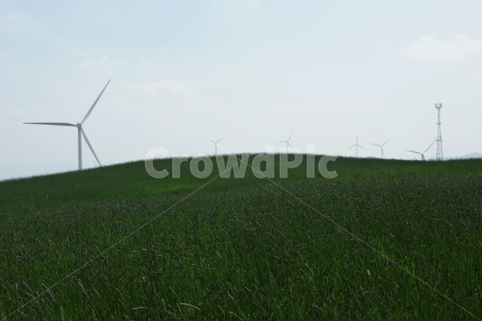 목장,파란들,풍경,초록,경치,자연,풍경,nature,landscape,산업,industry,industrial,에너지산업,energy industry,motor,모터,machine,기계,engine,엔진,grassland,목초지,field,들,outdoors,옥외