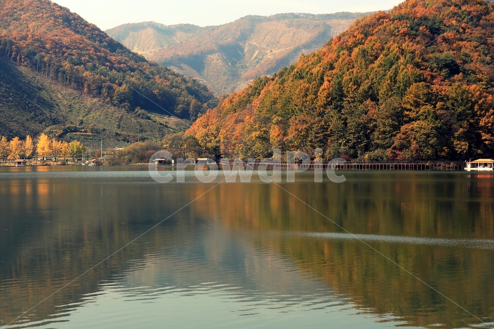 저수지,자연,물,호수,산,단풍,가을,계절,fall,autumn,season,자연,풍경,nature,landscape,한국자연풍경,한국자연경관,korea nature landscape,water,outdoors,옥외
