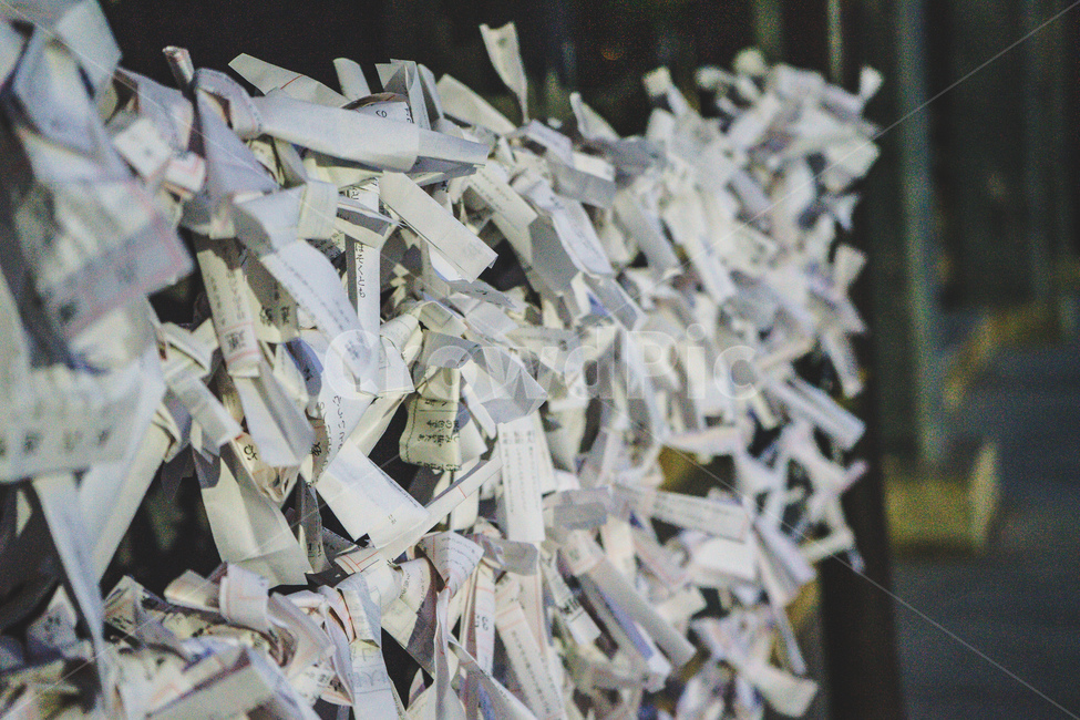 신사,일본,전통,소원,글귀,shrine,japan,traditional,hope,text