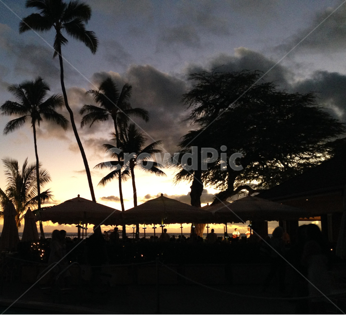 하와이,노을,해질녘,하늘,실루엣,야자수,그림자,자연,석양,휴식,구름,hawaii,sunset,silhouette,palmtree,cloud,nature,oversea,rest