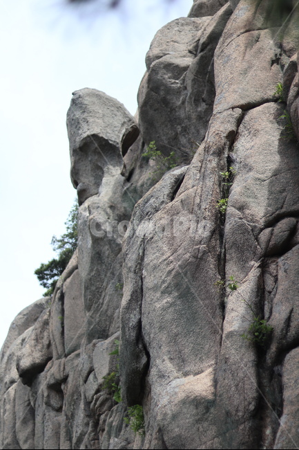바위,용봉산,봄,초록,풍경,맑음,자연,풍경,nature,landscape,rock,록,outdoors,옥외,cliff,낭떠러지