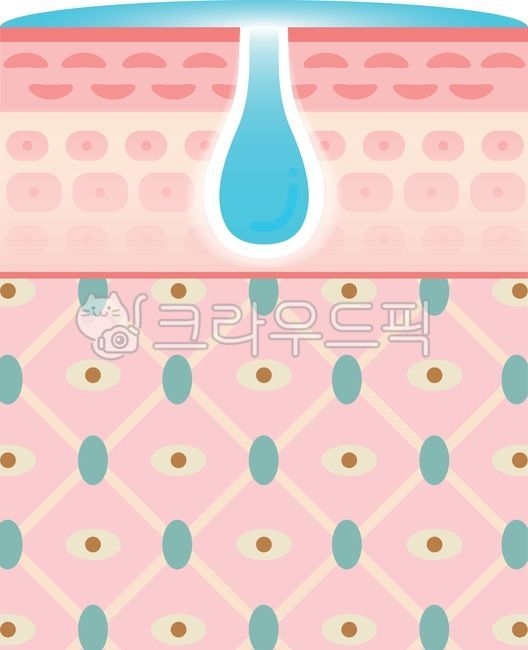 피부조직,표피,진피,세라마이드,콜라겐,엘라스틴,히알루론산,조직,각질,skin,피부층,해부,의료,건강,moisture,수분,skinlayer,cell,medicla,care,health,ceramides,beauty,skincare,collagen